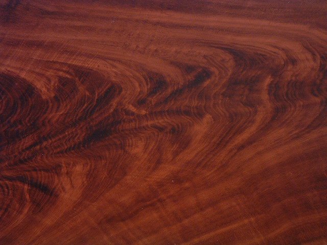 Gỗ gụ: gỗ cao cấp nguồn gốc Nam Phi