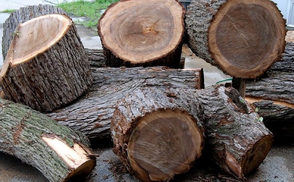 Tổng quan về gỗ phay